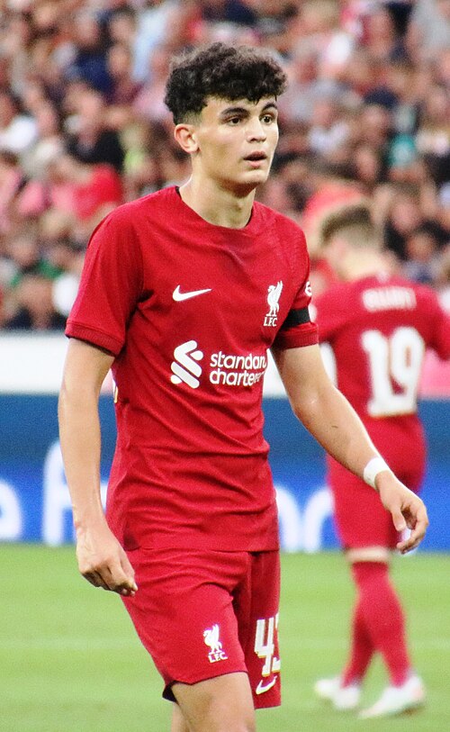 Stefan Bajcetic