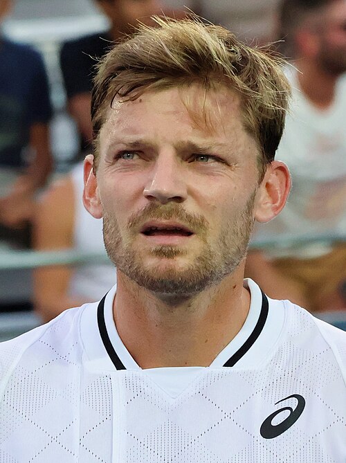 David Goffin