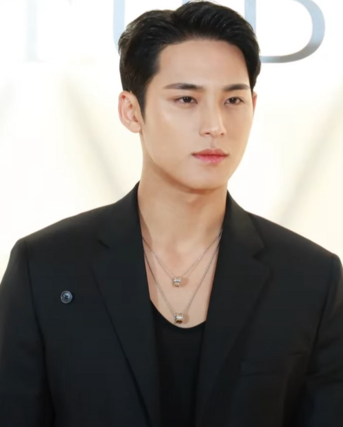 Kim Mingyu