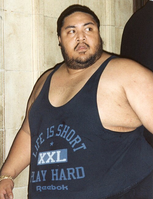 Yokozuna