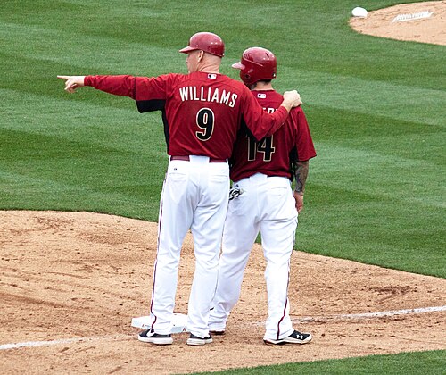 Matt Williams