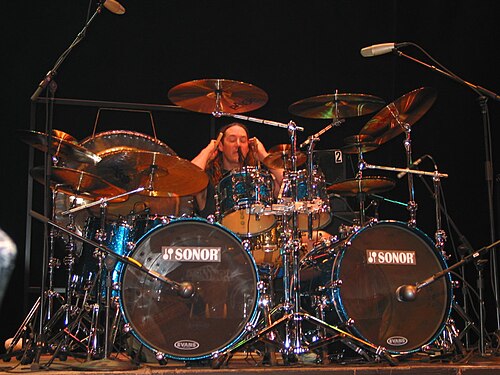 Danny Carey