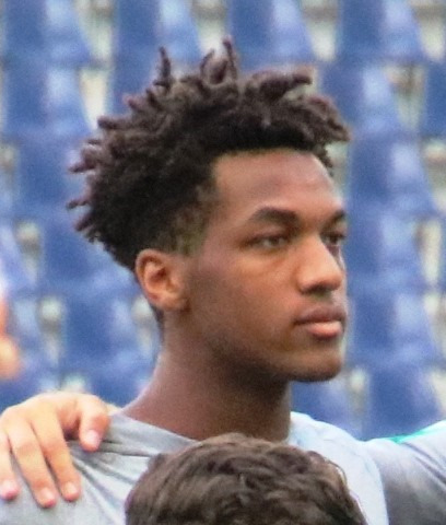 Hannes Delcroix